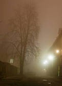 11-11-25 Rues brouillard.jpg