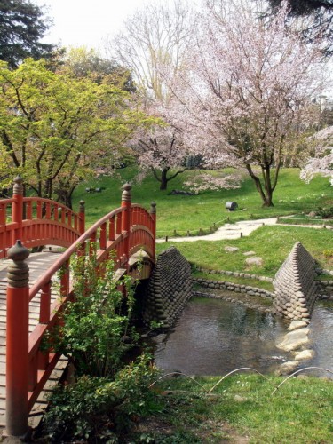 nature,environnement,japon,jardin,zen