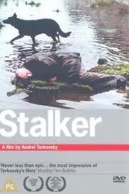 11-12-23 Stalker 1.jpg